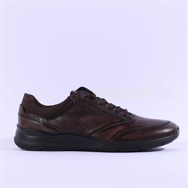 Ecco Men Irving Lace - Brown Leather
